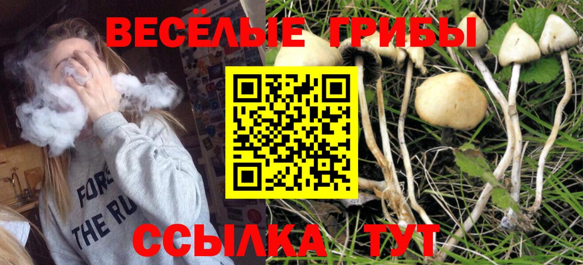 Галлюциногенные грибы MAGIC MUSHROOMS Шебекино